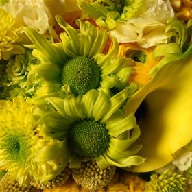 fwthumbRotary_floral-Event_to _others_flowertime_hayle.jpg